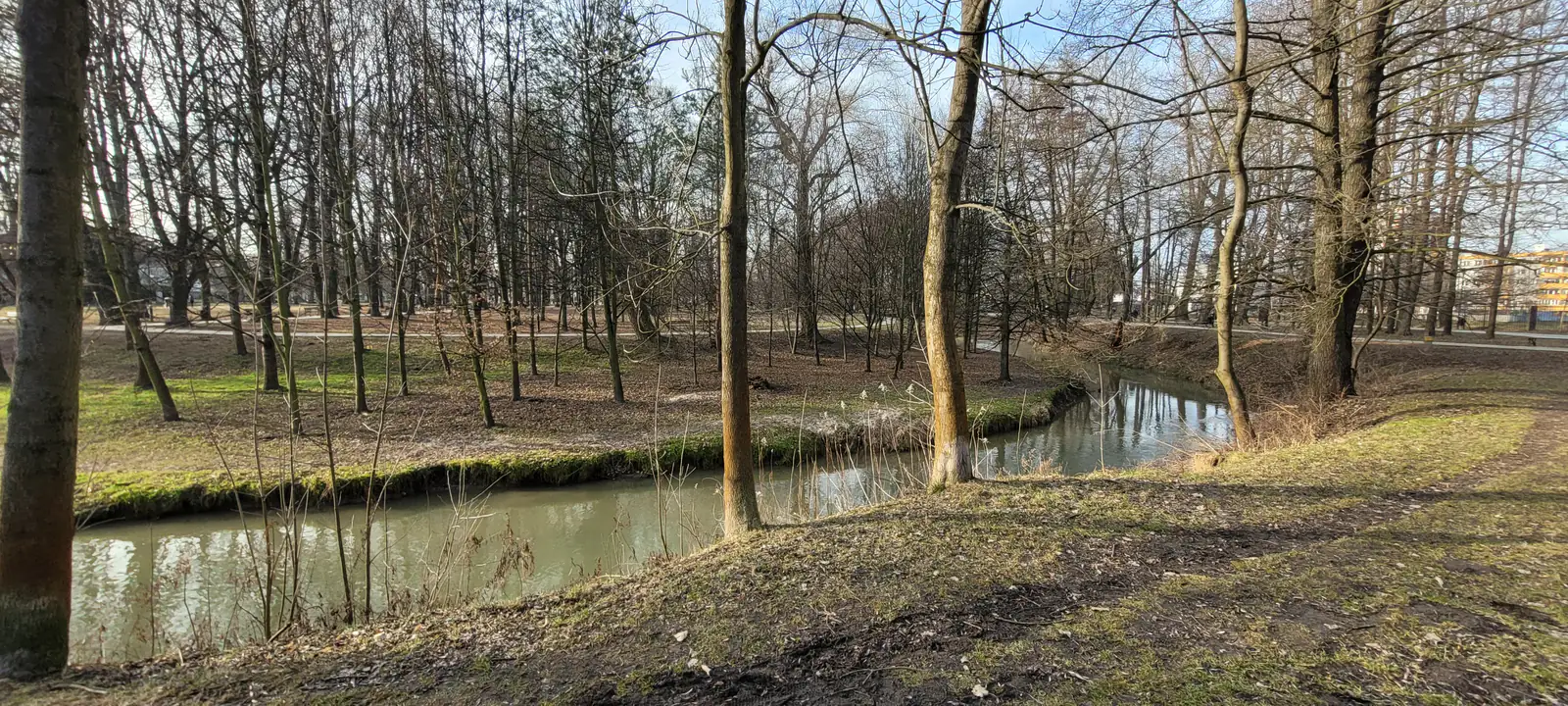 Rzeka Białucha przepływająca przez Park Białopradnicki w Krakowie.