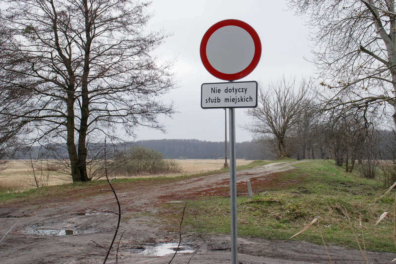 Znak drogowy B-1 (zakaz ruchu) na drodze w Polsce — zdjęcie ilustracyjne zamknięcia drogi