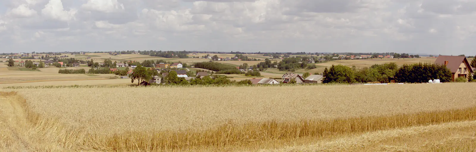 Panorama wsi Wielmoża w gminie Sułoszowa — letni widok miejscowości, w której budowane są budynki Społecznej Inicjatywy Mieszkaniowej