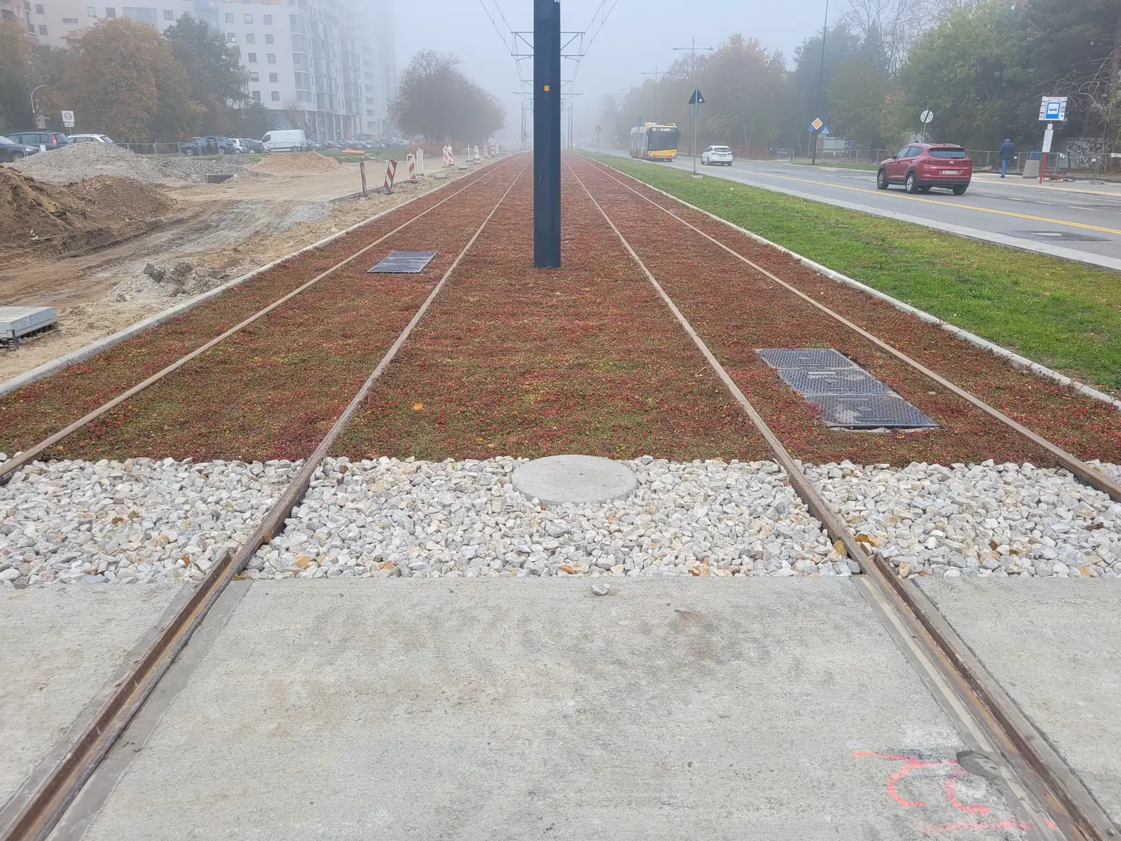 Rozchodnik (sedum) porastający torowisko tramwajowe — zdjęcie ilustracyjne zielonego torowiska z roślinami między szynami.