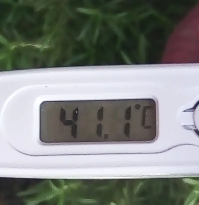 Termometr pokazujący 41°C podczas fali upałów